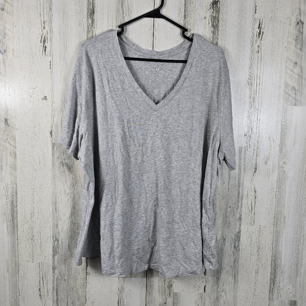 terra and sky light gray short sleeve v-neck shirt women's plus size 3X